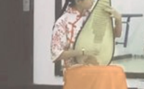 琵琶情缘作文