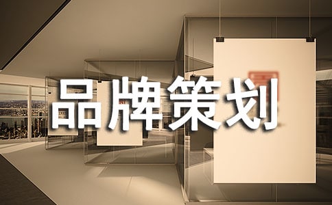 经典品牌策划书模板