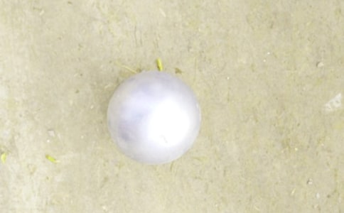 铅球广播稿(15篇)