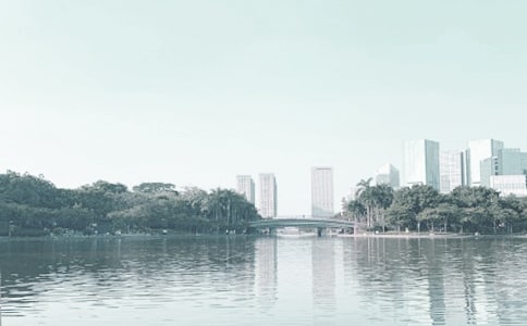 美丽的千灯湖作文11篇