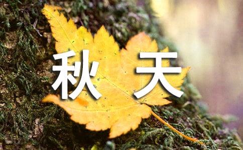 寻找秋天作文【大全15篇】