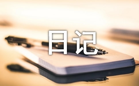 意义的日记