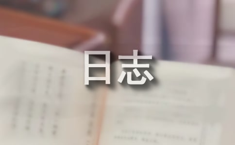 安全工作日志