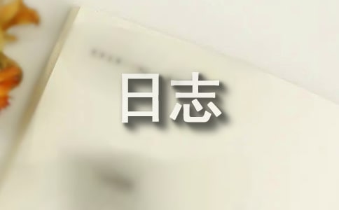 暑假打工实践日志