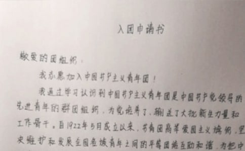 语文科代表入团申请书范文