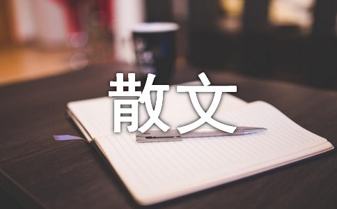 感谢岁月的洗礼散文