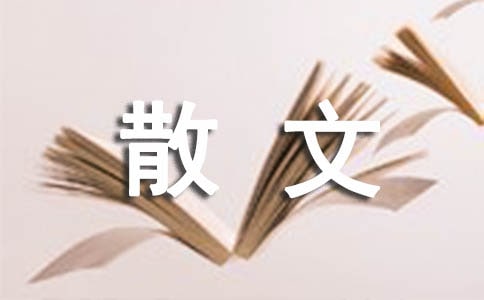 再见从前散文随笔