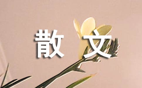 我们该如何度过自己的一生散文随笔