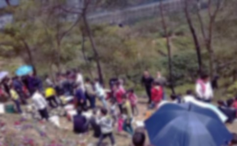 为何新坟扫墓挂青不过社