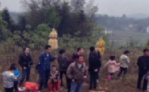 扫墓的作文15篇[推荐]
