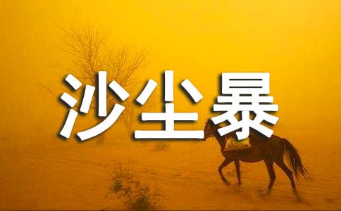 我是沙尘暴作文