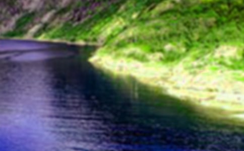 山水游作文
