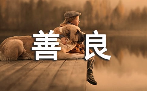 善良在我身边作文