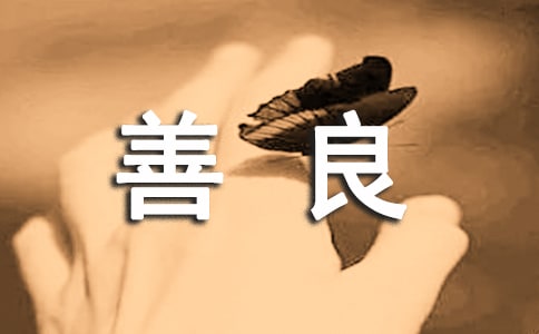 善良的魅力作文14篇【优】