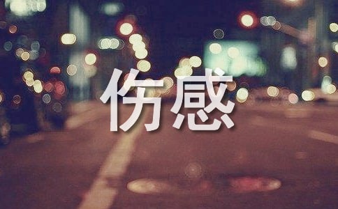 老陈头儿伤感随笔