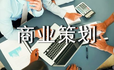  商业策划书
