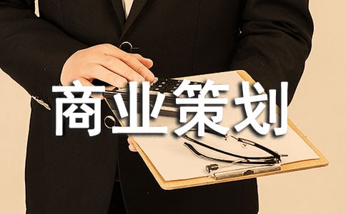 京东商城商业策划书模板