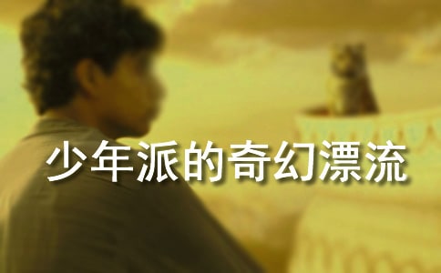 少年派的奇幻漂流观后感