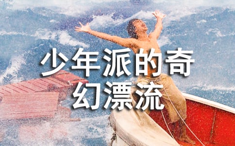 少年派的奇幻漂流观后感500字