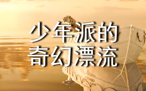 少年派的奇幻漂流观后感800字范文