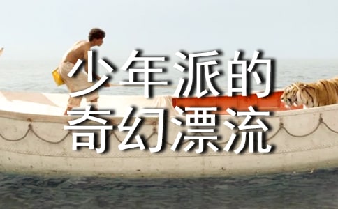 少年派的奇幻漂流读后感作文