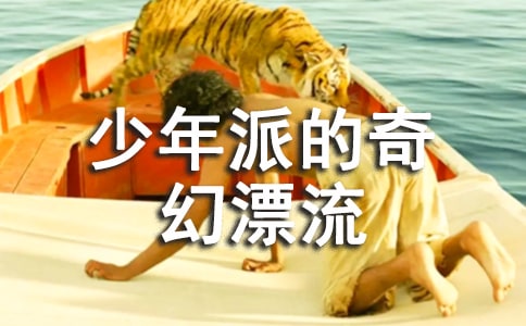 《少年派的奇幻漂流》观后感800字