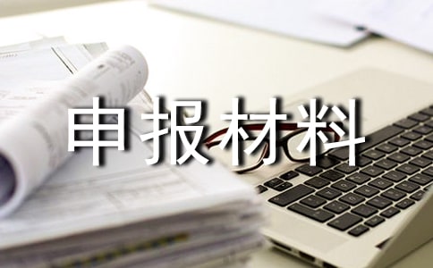 申报材料承诺书范文