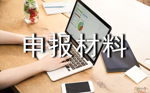 提交申报材料真实性的承诺书范文