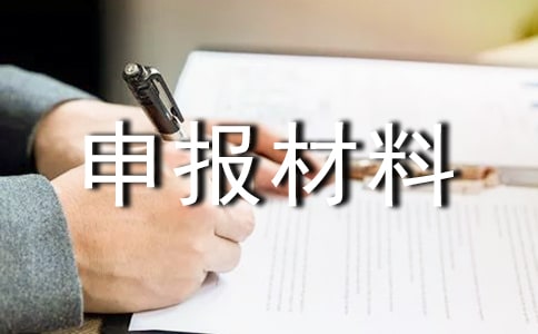 项目申报材料承诺书