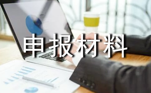 申报材料真实性的承诺书