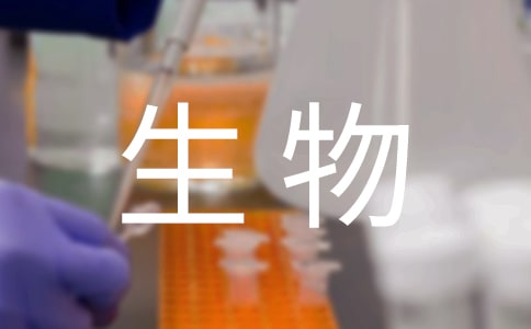 生物公司实习报告