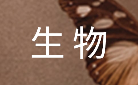初中生物教学随笔