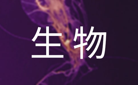 2025广东高考生物不同基础的学生复习技巧