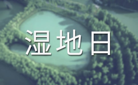 世界湿地日宣传活动总结15篇