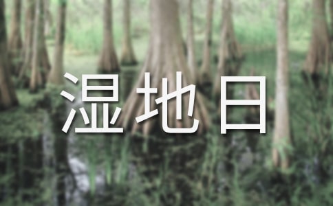 世界湿地日活动总结