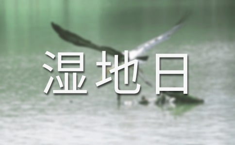 世界湿地日宣传活动总结集锦15篇