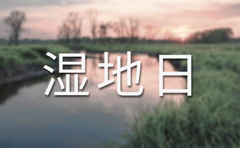 世界湿地日相关知识