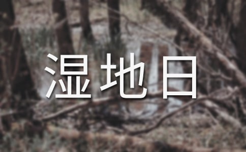 2017年庆祝世界湿地日活动方案