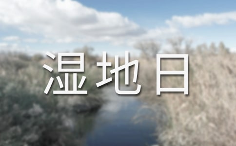 世界湿地日的倡议书