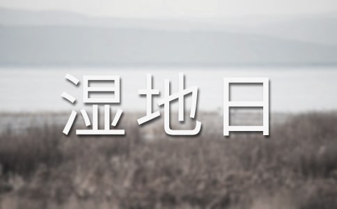 世界湿地日的句子