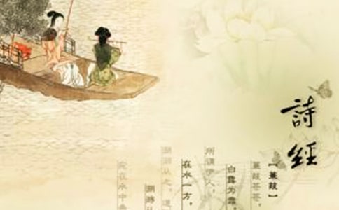 诗经《葛生》译文及赏析