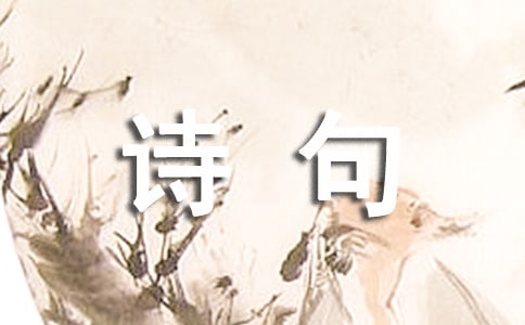 关于爱的诗句