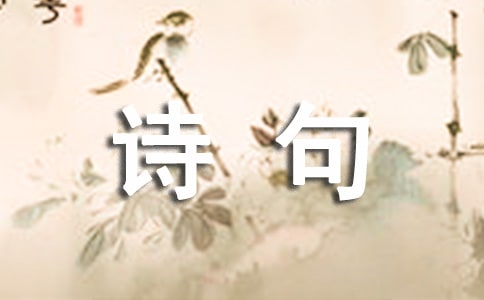 水调歌头的诗句赏析