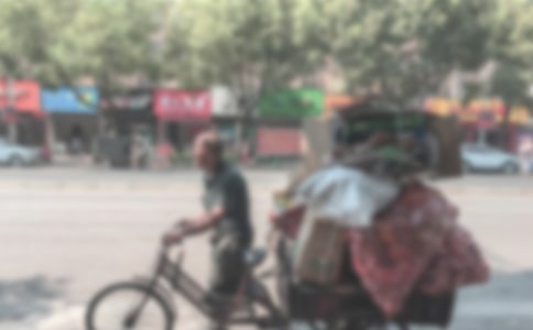 (推荐)拾荒老人作文5篇