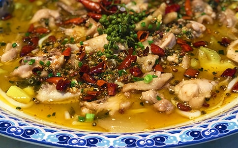 食物作文500字十篇