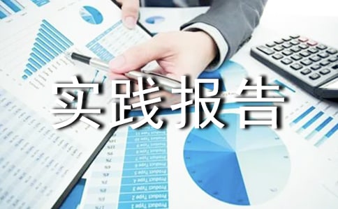 统计暑假实践报告
