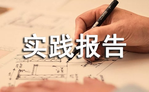 11暑假实践报告
