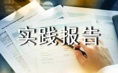 海尔暑假实践报告