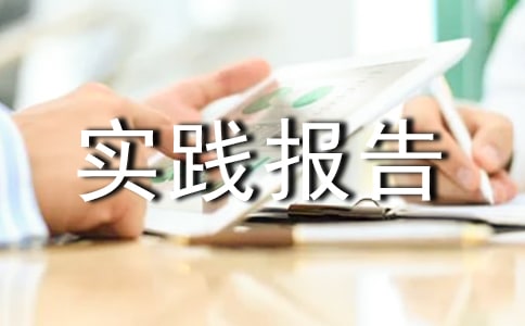 联想暑假实践报告