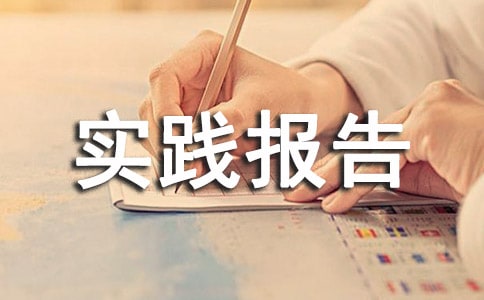 联通暑假实践报告